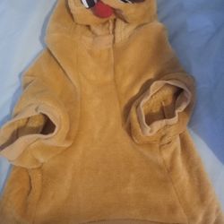 Christmas Dog Outfit 