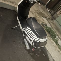 Zebra Electric Scooter 