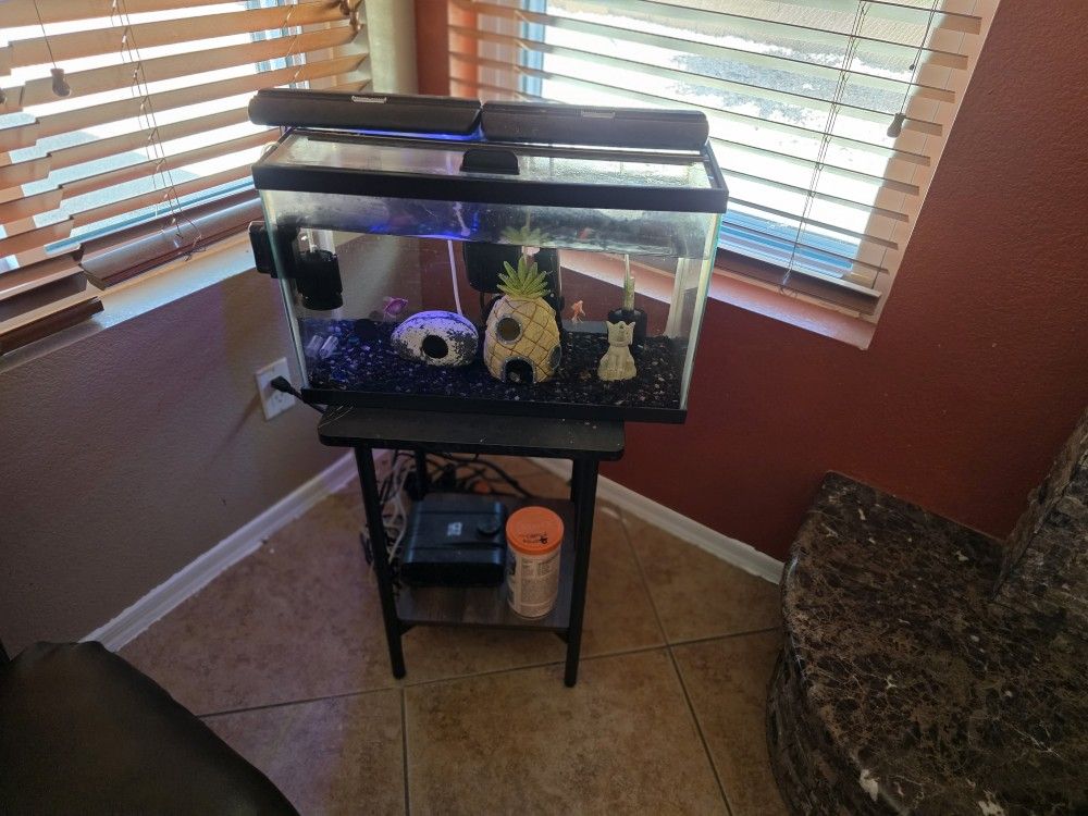 10 Gallon Fish Tank With Filters 3 Fish 1 Snail