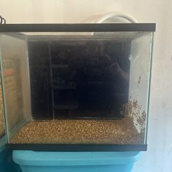 30 Gal