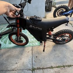 4 Month Old Tuttio Soliel 1 OR TRADE 