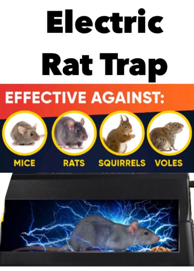 Murrieta (Los Alamos and Hancock) BRAND NEW Electric Rat Trap Catcher – EZ Bait Rodent Trap to Get Rid of Mice and Rats, Perfect Rat and Mice Deterre