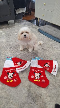 CHRISTMAS DECORATION  $6 EACH 