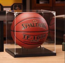 Display case wood bottom