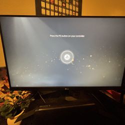 LG 60 Hz Gaming Monitor