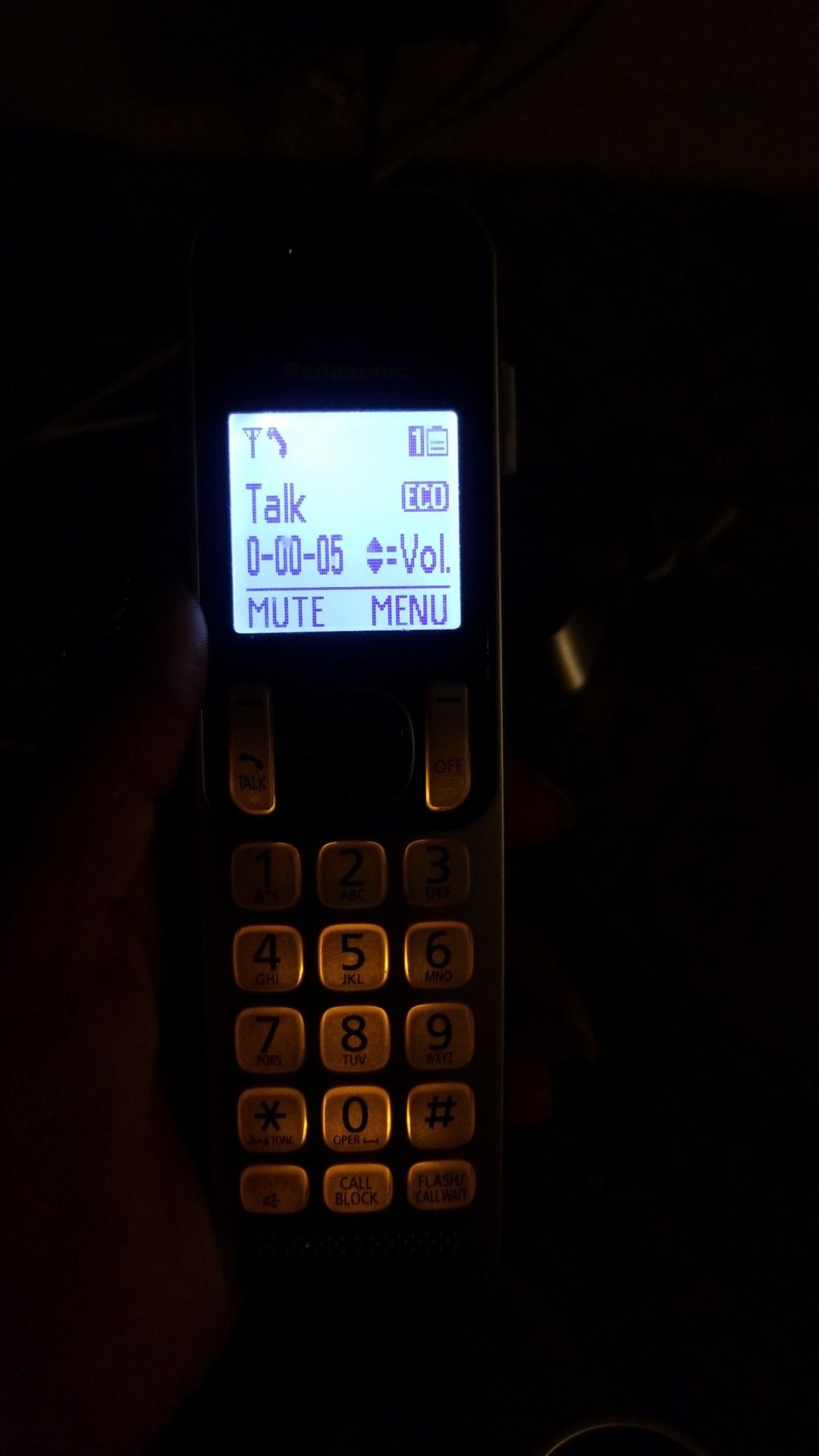 Panasonic, phone system - cordless