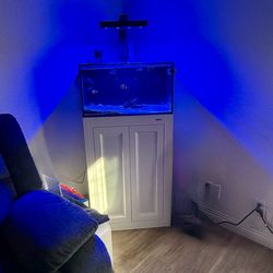 Innovative Marine APS Aquarium 20G fully Equiped