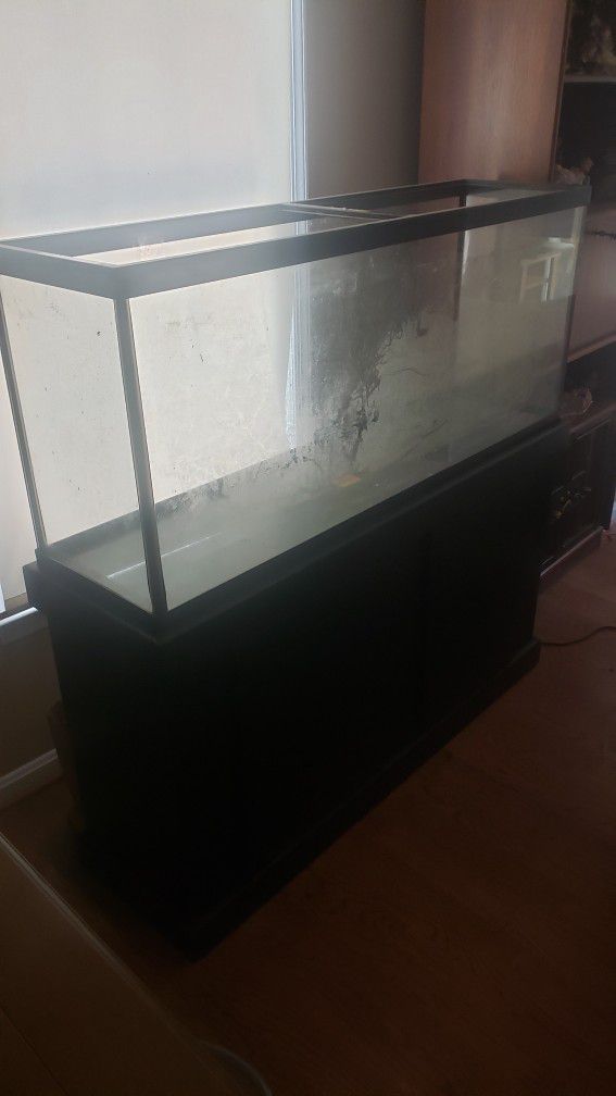 55 Gal Fish Tank And New Stand