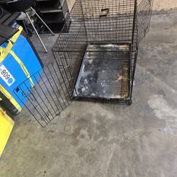 Dog Kennel