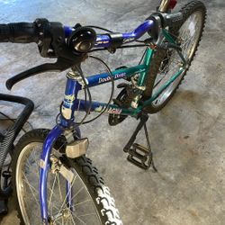 Double Divide Magna Bicycle
