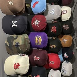 7 3/8 Fitted