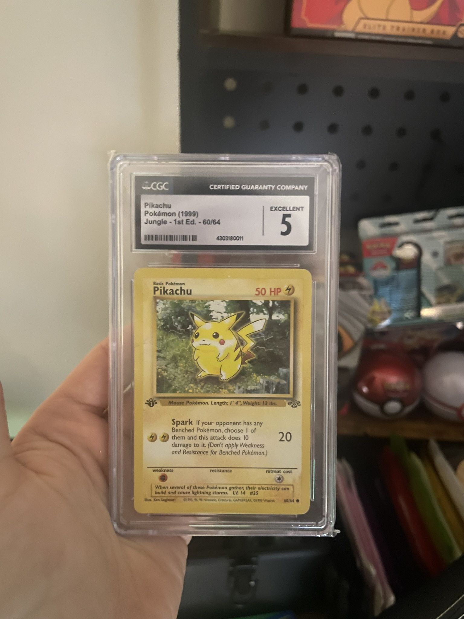 CGC 5 1st Edition Pikachu