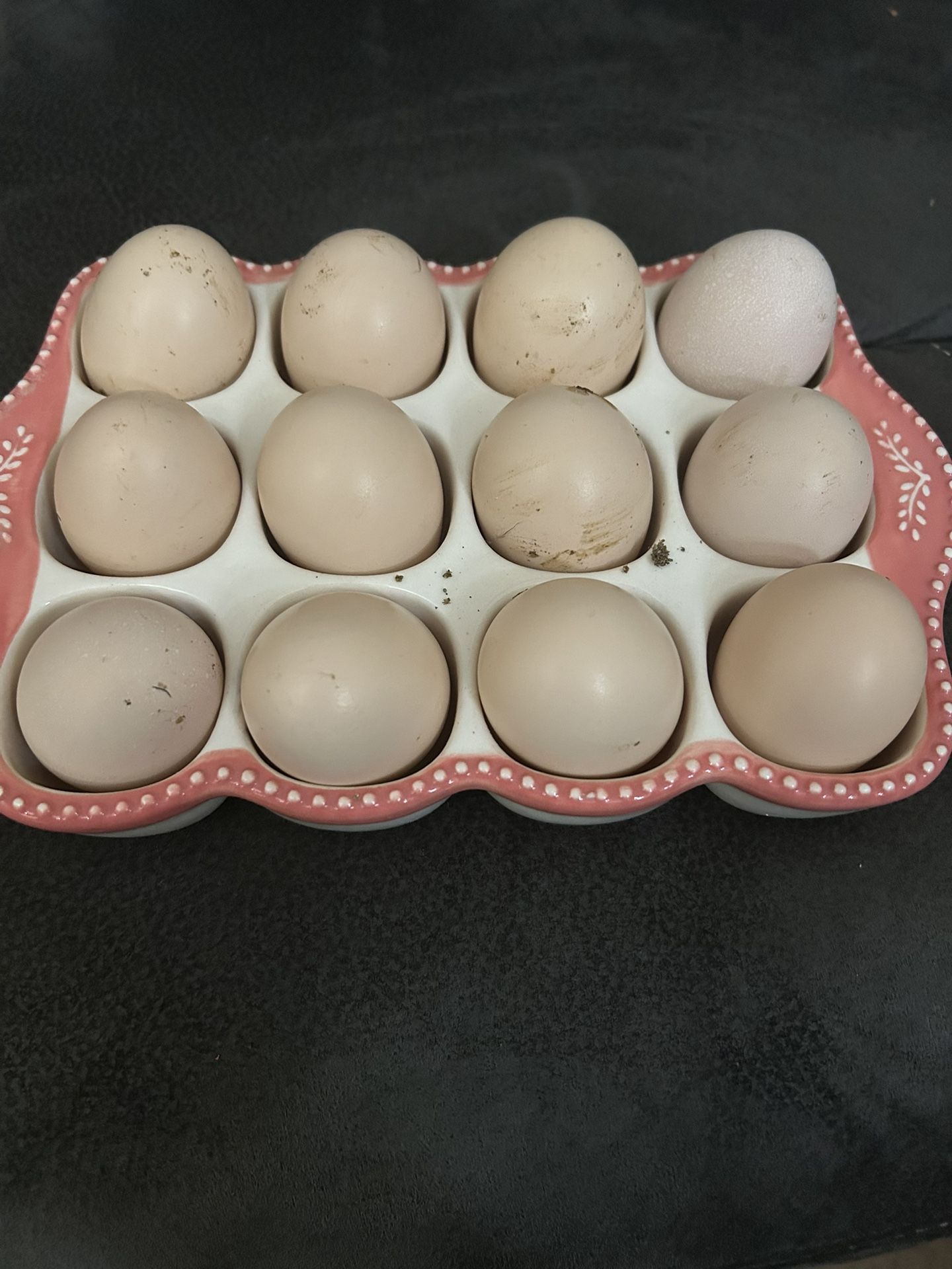Ayam Cemani Hatching Eggs
