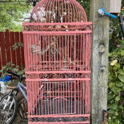 Bird Cage 