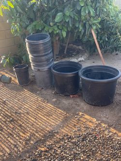 Plant containers