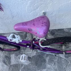 Schwinn Iris 20" Youth Bike 