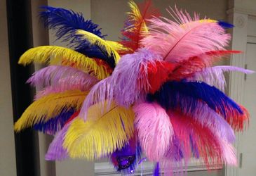Ostrich Feathers
