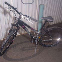 3900 Trek bike 