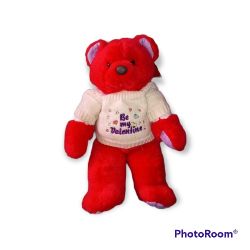 Sugar Loaf The Red Valentine Bear 