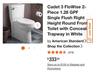 Cadet 3 flowise