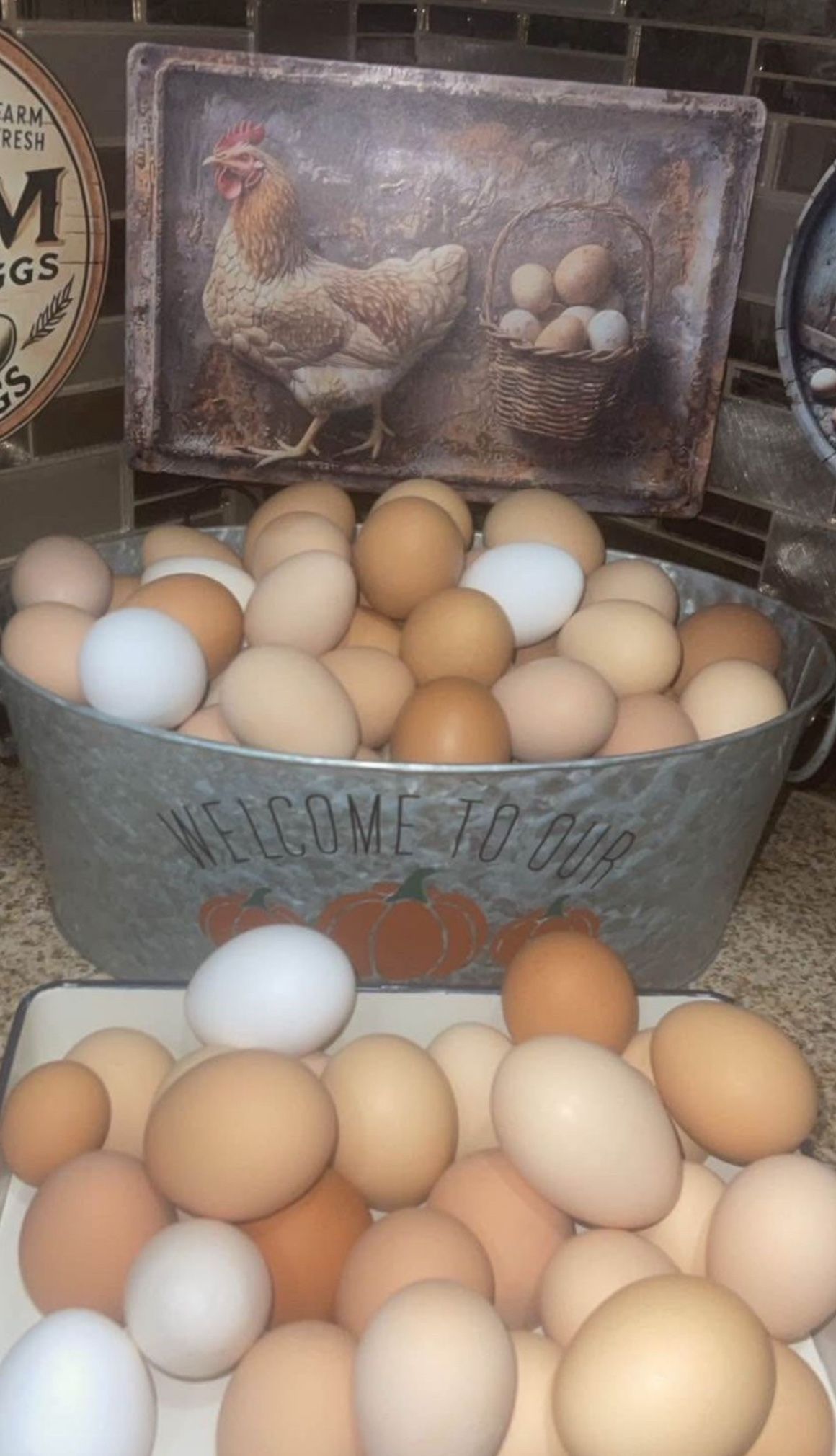 egg/huevos