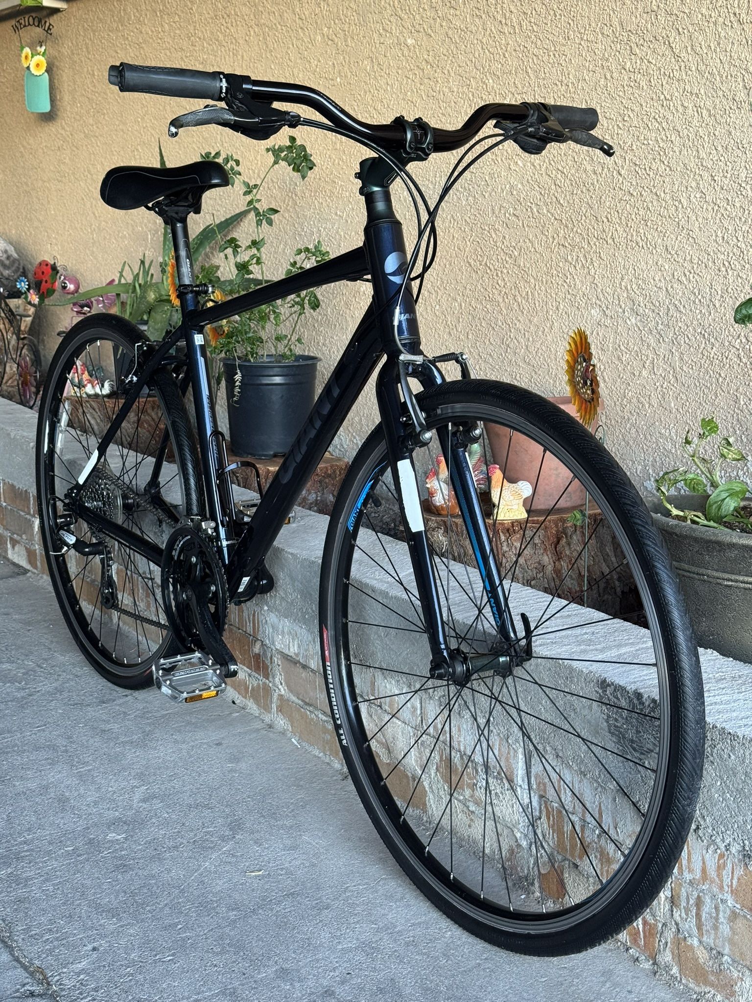 29” Giant Road Bike 