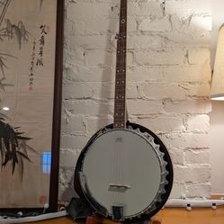 Fender 5 string banjo