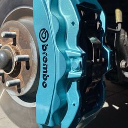 Tesla Caliper Paint