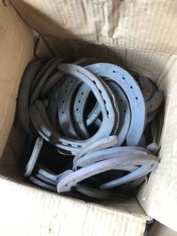 Box full of draft horseshoes