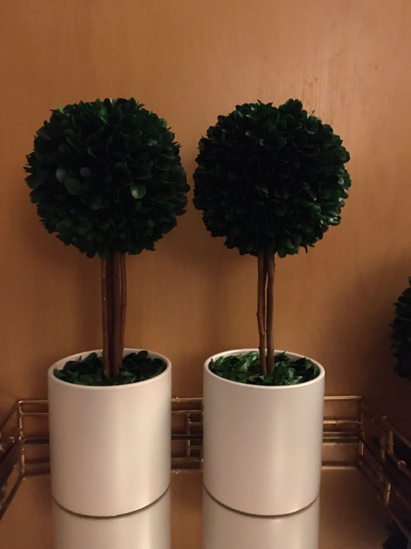 Two topiary trees