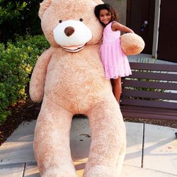 Valentines Day Present 6ft Teddy Bear 