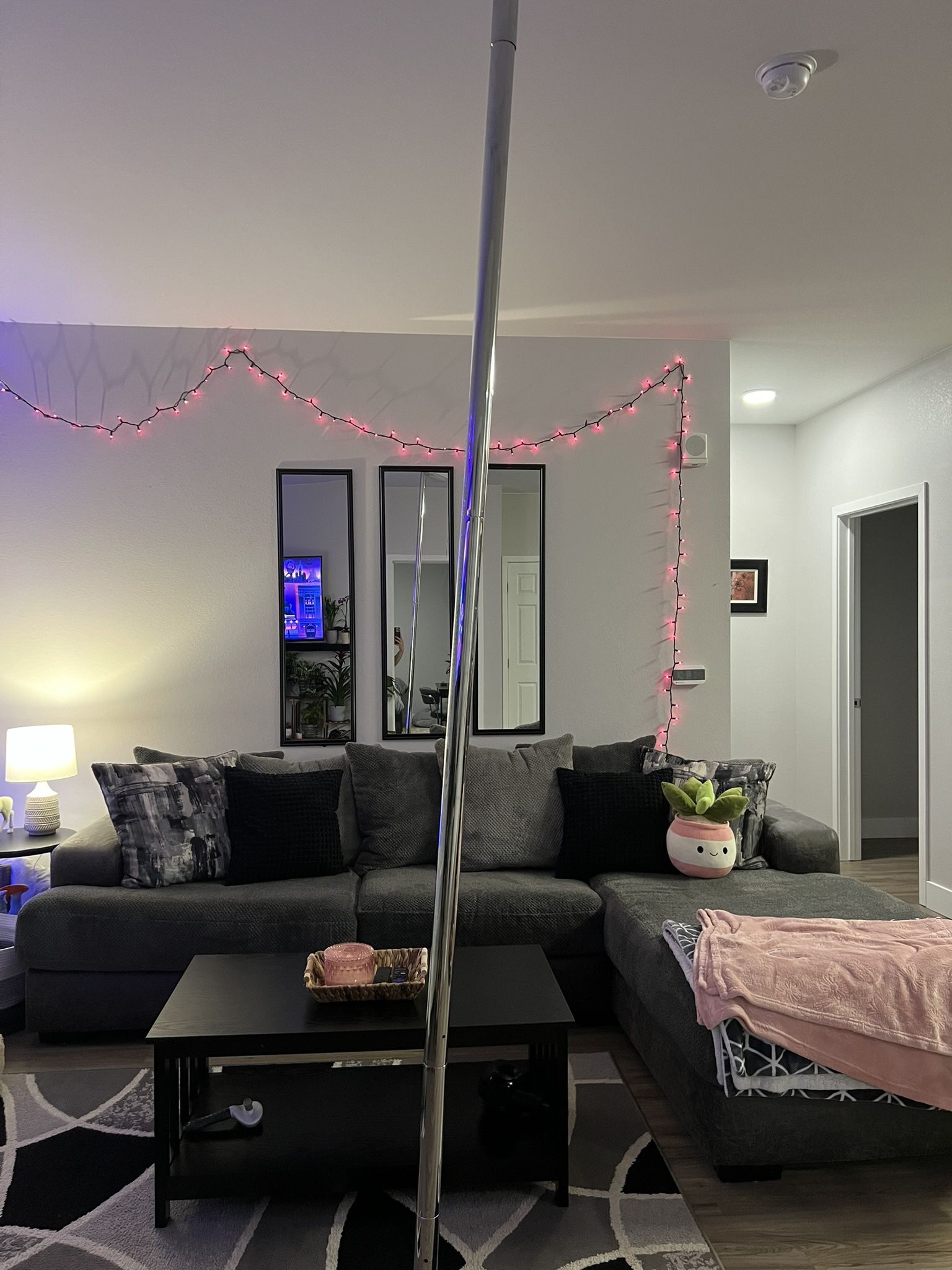 10ft Adjustable Stripper Pole
