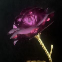 Beautiful Foiled Rose Of Love For You Or Someone On Valentines Day 