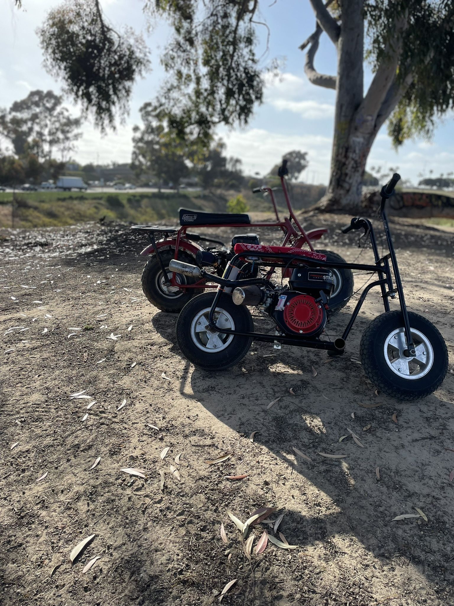 Mini Bike Looking For Trades Or Cash