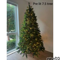 7.5 Tree