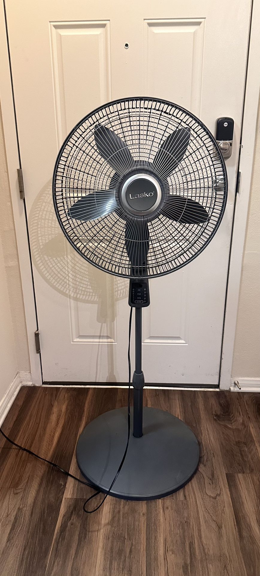 Fans