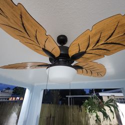 I Have Two Ceiling Fan Exterior Good Condicton The Price Is 140 For Both