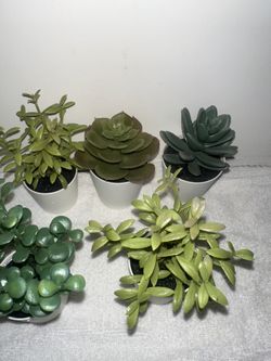 6pc Mini Artificial Succulent Plant, Home Decoration or Desk Plant, Include Pots