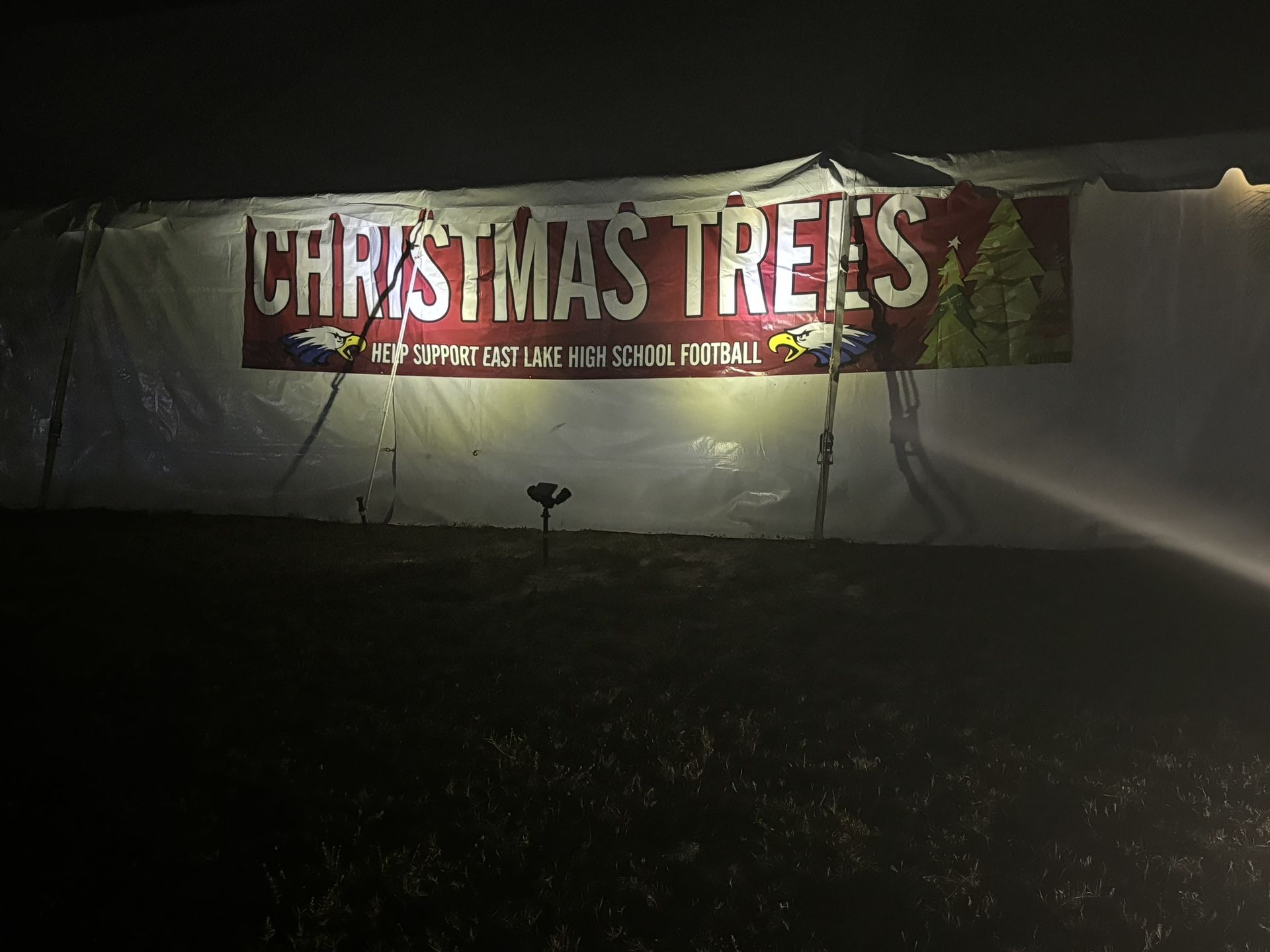 Christmas Trees! 50 Oboe