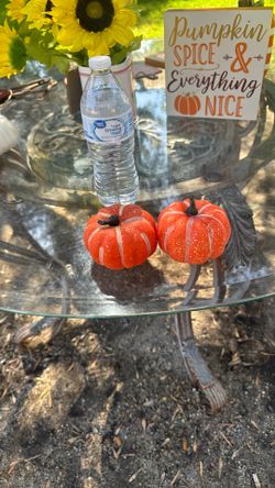Decorative Pumpkins 