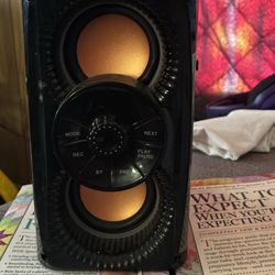 Bluetooth Speaker 