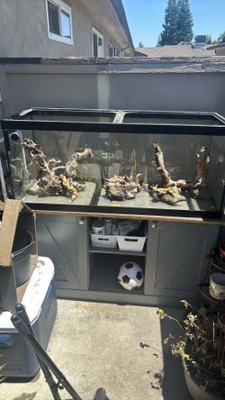 Fish Tank & Stand
