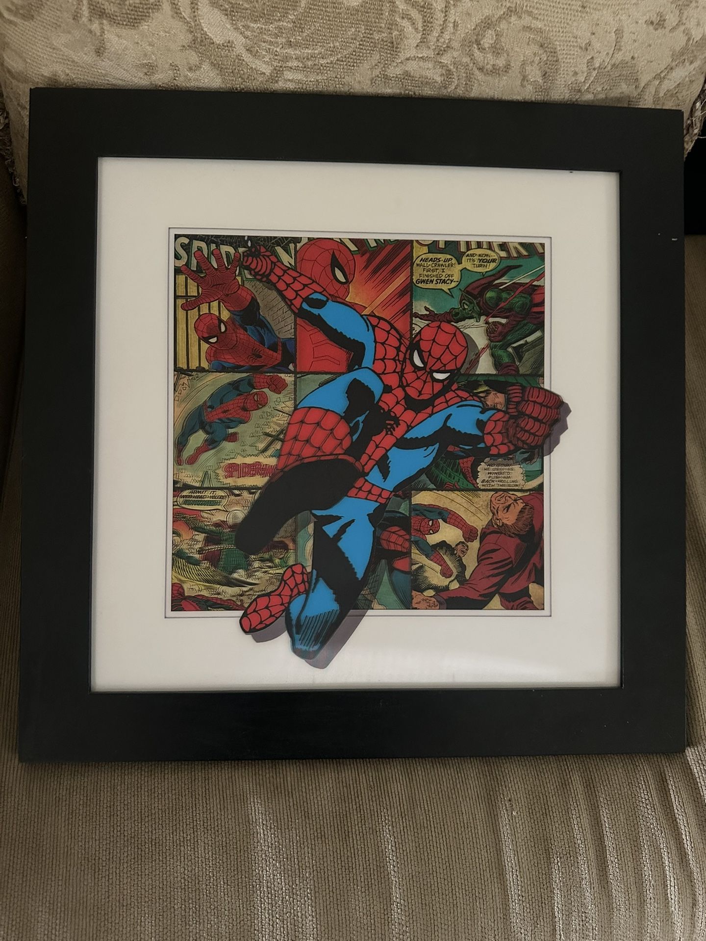 Marvel Spiderman Picture