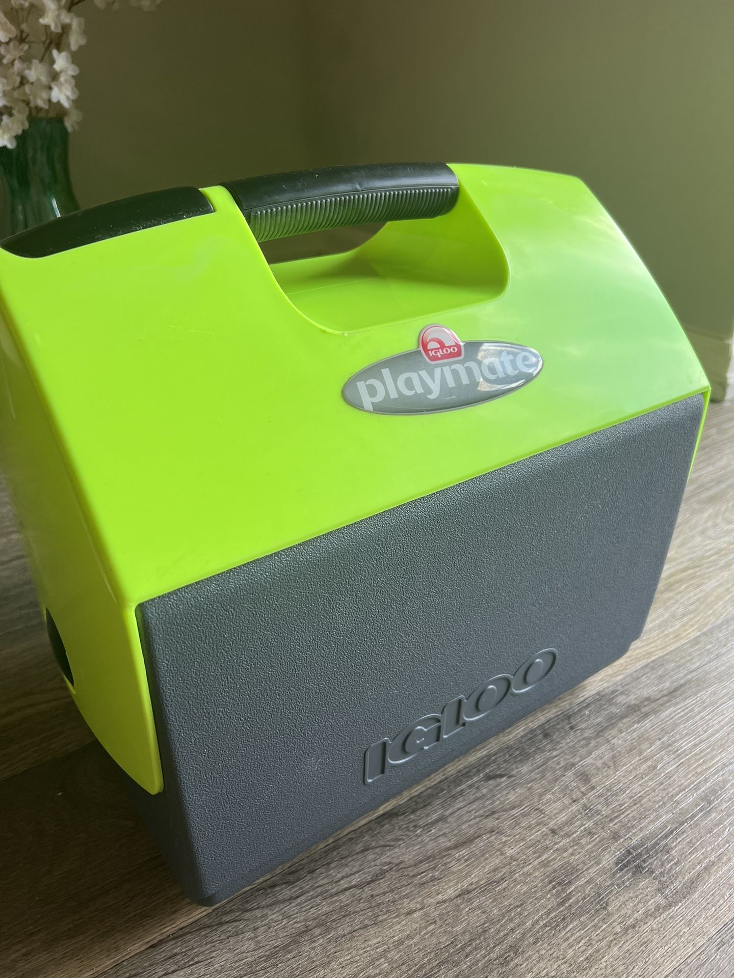 Igloo Cooler 