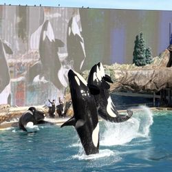 2 Digital Tickets ( Sea World San Diego)
