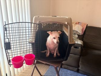 Grreat Choice Dog Kennel