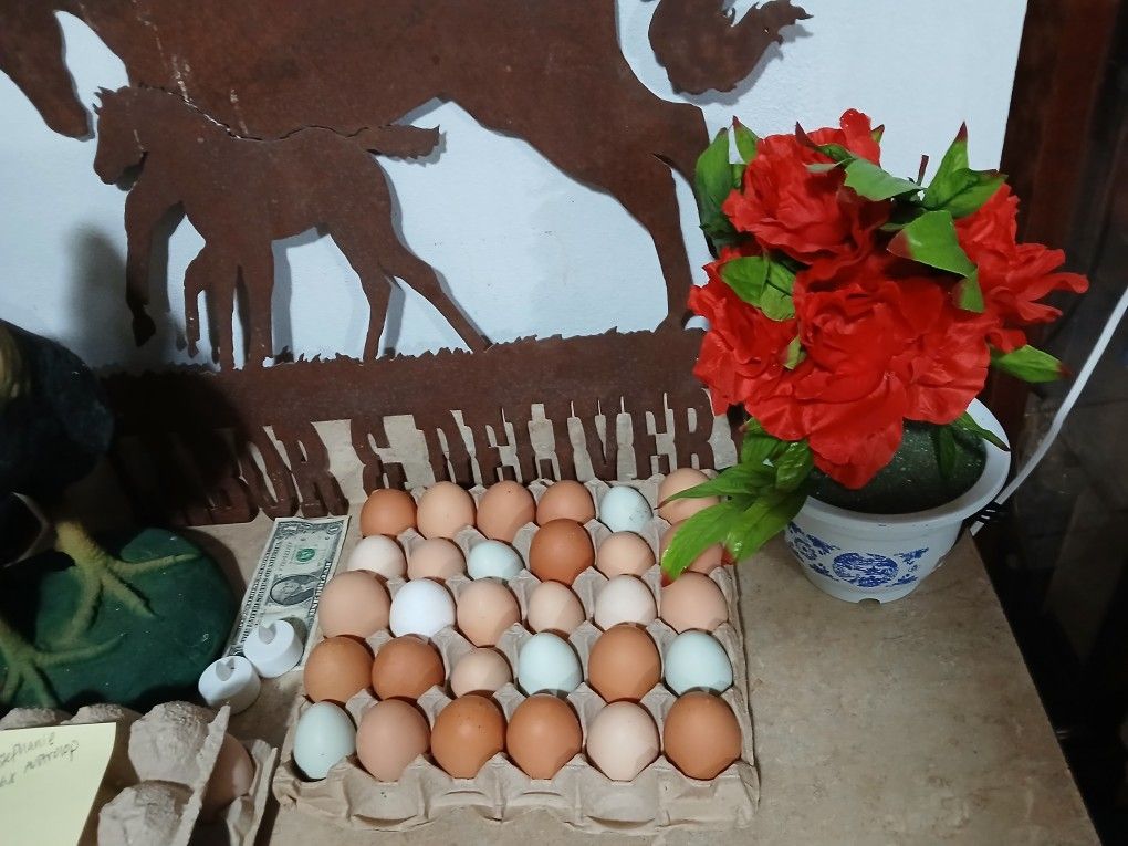 Huevos Frescos/ Fresh Eggs