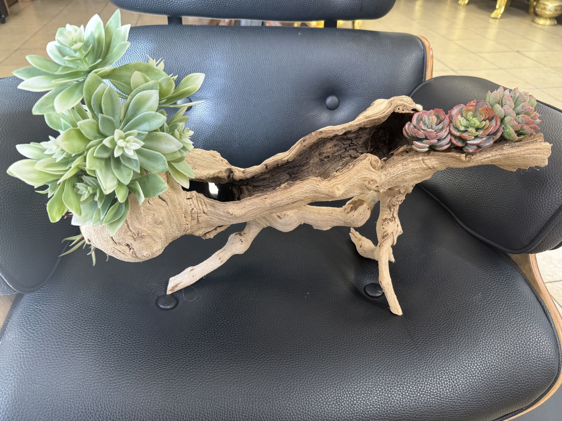 Nature Decoration Ghost Wood