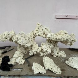 Aquascapes For Any Size Tank 🪨 ✨ 