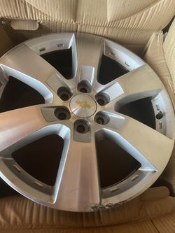 Traverse Stock Tims